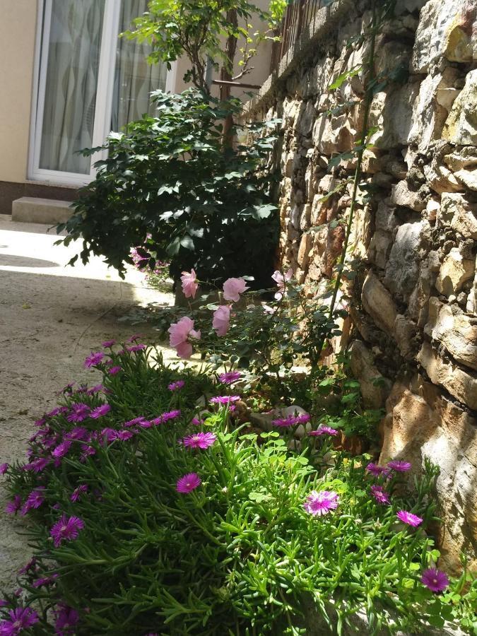 Istrianka Apartment Pula Exterior foto